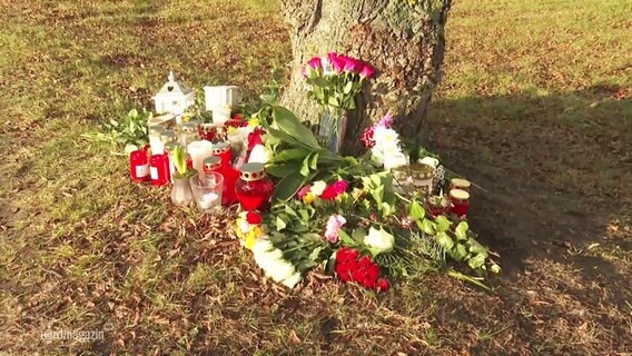 Auf einer Grünfläche sind an einen Baumstamm mehrere Blumen und Grabkerzen zum Gedenken an eine Verkehrstote aufgestellt. © Screenshot 