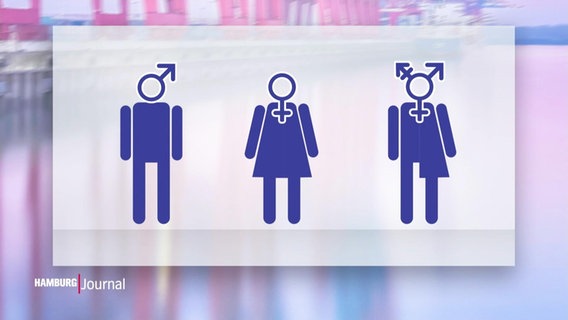 Ein Logo, dass die verschiedenen Gender verdeutlichen soll © Screenshot 