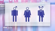 Ein Logo, dass die verschiedenen Gender verdeutlichen soll © Screenshot 