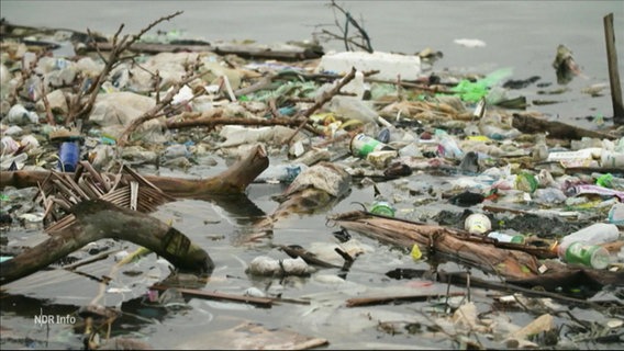 Müll schwimmt auf der Oberfläche eines Gewässers © Screenshot 