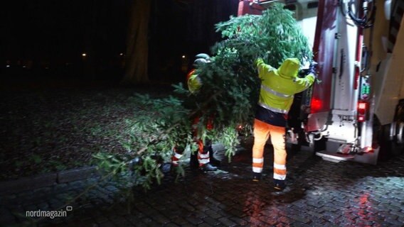 Zwei Männer tragen einen ausgedienten Tannenbaum in ein Fahrzeug. © Screenshot 