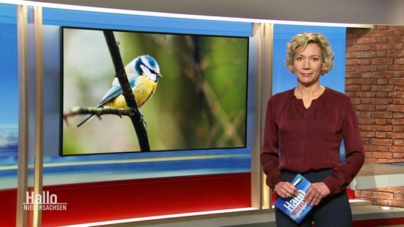 Nachrichtensprecherin Christina von Saß. © Screenshot 