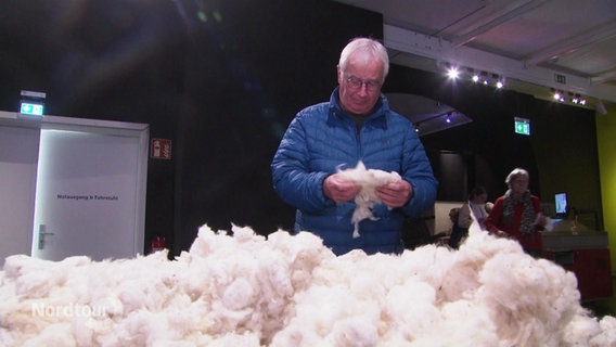 Ein Mann hält in einem Museum ein Stück Baumwolle in den Händen und begutachtet es. Vor ihm ist ein riesiger Haufen Baumwolle. © Screenshot 