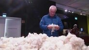 Ein Mann hält in einem Museum ein Stück Baumwolle in den Händen und begutachtet es. Vor ihm ist ein riesiger Haufen Baumwolle. © Screenshot 