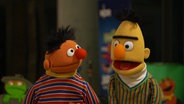 Ernie und Bert. © Screenshot 