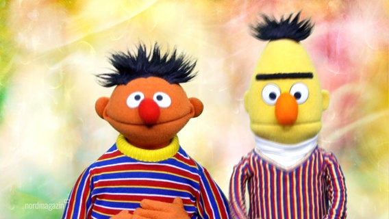 Ernie und Bert aus der Sesamstraße vor einem bunten Hintergrund © Screenshot 