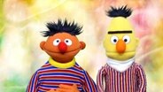 Ernie und Bert aus der Sesamstraße vor einem bunten Hintergrund © Screenshot 