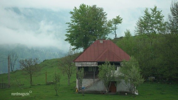 Eine Berghütte auf einer grünen Wiese im Apuseni-Gebirge in Rumänien. © Screenshot 