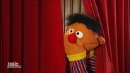 Ernie aus der Sesamstraße guckt durch einen Spalt eines Theatervorhangs und hält sich erstaunt die Hand vor den Mund. © Screenshot 