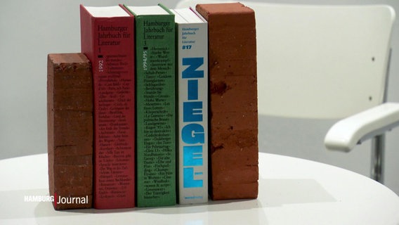 Die neuste Ausgabe von "Der Ziegel" steht mit hellem Einband und blauer Metallikschrift zwischen Büchern und Backsteinziegeln auf einem Tisch. © Screenshot 
