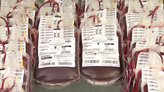 Blutkonserven aufgereiht auf einer Ablage. © Screenshot 