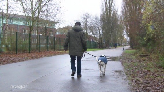 Eine Person geht mit ihrem Hund spazieren. © Screenshot 