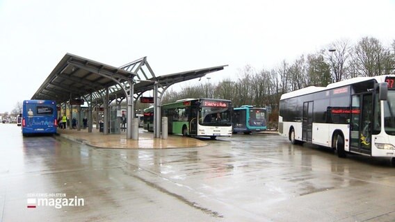 Busse auf einem Busbahnhof. © Screenshot 