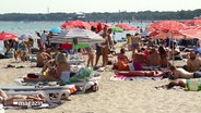 Menschen an einem Strand im Sommer. © Screenshot 