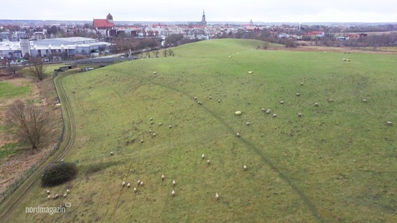 Eine ehemalige Deponie vor Greifswald aus der Vogelperspektive, heute eine grüne Wiese. © Screenshot 