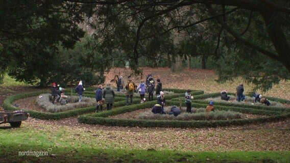 Kinder pflanzen unter Anleitung eines Forstwirts Blumen im Schlossgarten. © Screenshot 