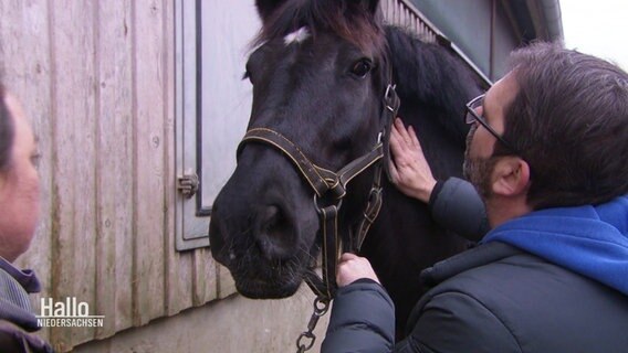 Tierarzt Hero Bartmann mit einem Pferd © Screenshot 