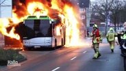 Ein brennender Bus steht in einer Parkbucht einer Straße, daneben: Einsatzkräfte der Feuerwehr sichern die Gefahrenstelle ab. © Screenshot 
