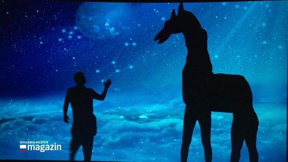 Beim Schattentheater "Amazing Shadows" sind ein Mensch und Pferd zu sehen, das die Akrobaten mit ihren Körpern darstellen. © Screenshot 