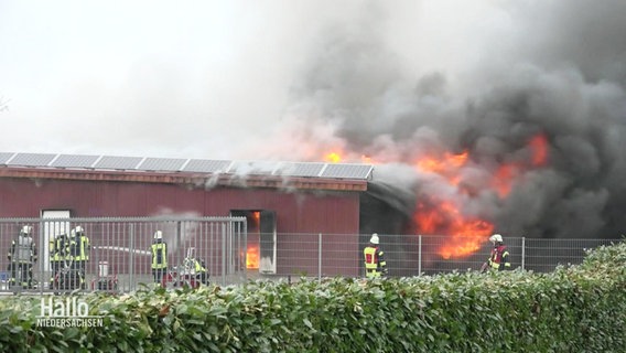 Eine Schweinezuchtanlage brennt. Einsatzkräfte der Feuerwehr versuchen das Feuer zu löschen. © Screenshot 