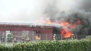 Eine Schweinezuchtanlage brennt. Einsatzkräfte der Feuerwehr versuchen das Feuer zu löschen. © Screenshot 