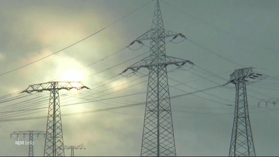 Eine Gruppe von Stromtrassenhaltern ragen in den bedeckten Himmel hinein. © Screenshot 