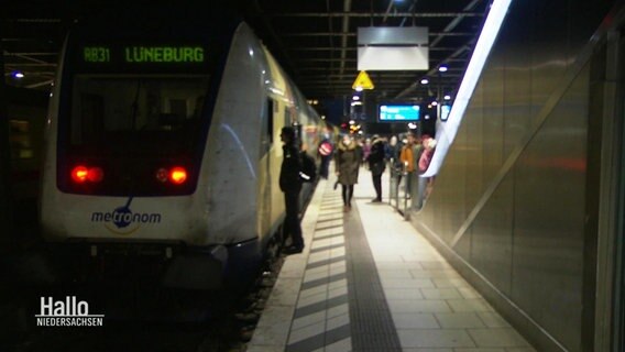 Ein Zug steht am Hamburger Hauptbahnhof © Screenshot 
