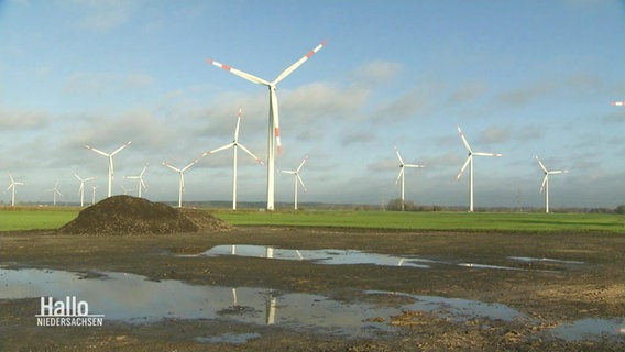 Über eine weite Fläche von Land mit mehreren Feldern sind viele Windräder in einem Windpark verteilt. © Screenshot 