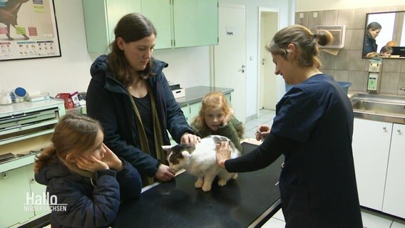 Eine Mutter mit zwei Kindern hält die gemeinsame Katze auf dem Behandlungstisch einer Tierarztpraxis fest, während die Tierärztin der Katze eine Spritze verabreicht. © Screenshot 