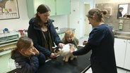 Eine Mutter mit zwei Kindern hält die gemeinsame Katze auf dem Behandlungstisch einer Tierarztpraxis fest, während die Tierärztin der Katze eine Spritze verabreicht. © Screenshot 