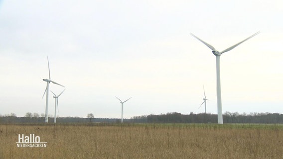 Auf einem Feld stehen mehrere Windkraftanlagen. © Screenshot 