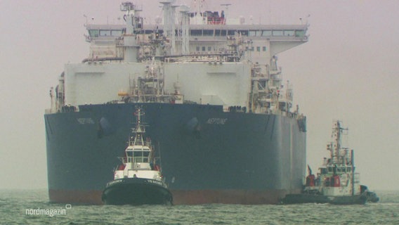 Auf dem Meer fährt ein riesiger Containerfrachter begleitet von zwei kleineren Schlepperbooten. © Screenshot 