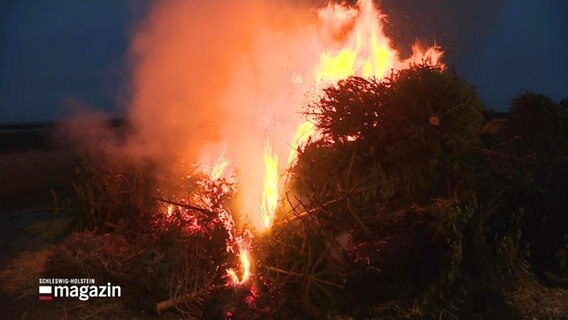 Ein Stapel Tannenbäume brennt: Das traditionelle Biike-Brennen auf der Hamburger Hallig. © Screenshot 