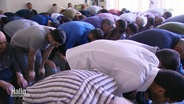 Mehrere Reihen von Menschen islamischen Glaubens knien nachvorngebeugt bei einem Gebet in einer Moschee. © Screenshot 