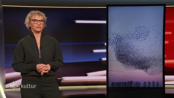 Julia Westlake moderiert das NDR Kultur Journal. © Screenshot 