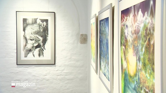Im Schloss Reinbek eröffnet die gemeinsame Ausstellung der Künstler Boehm und Kappenberg - Odyssee. © Screenshot 