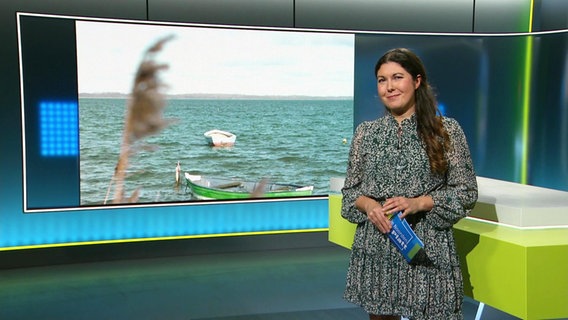 Vanessa Kossen moderiert De Noorden op Platt. © Screenshot 