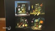 Vier verschiedene KI-Bilder mit Blumen, einem Glasgefäß und einer Kerze. © Screenshot 