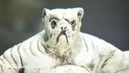 Keramik-Kunstwerk in Form eines Hundes © Screenshot 