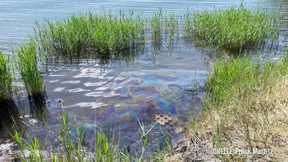 Ein schillernder Ölfilm auf einer Wasseroberfläche am Ufer. © Screenshot 