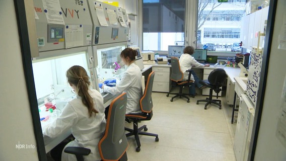 Drei Biologinnen bei der Arbeit in einem Labor. © Screenshot 