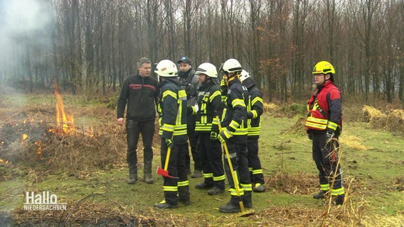 Eine Gruppe von Feuerwehrleuten steht in einem Waldstück. © Screenshot 