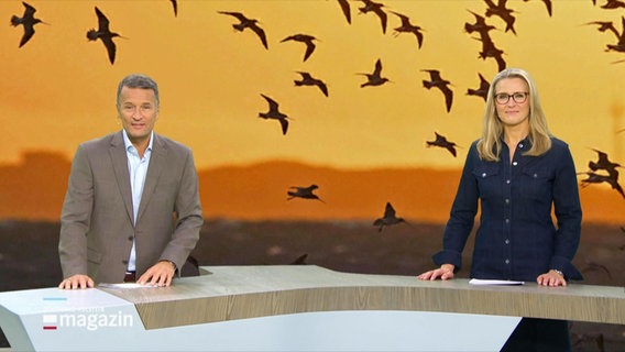 Gabi Lüeße und Gerrit Derkowski im Studio. © Screenshot 