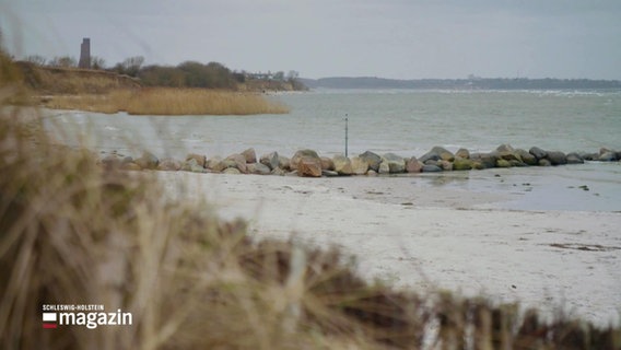 Ein Strand mit Steinreihe ins Wasser und Gräsern am Rand © Screenshot 