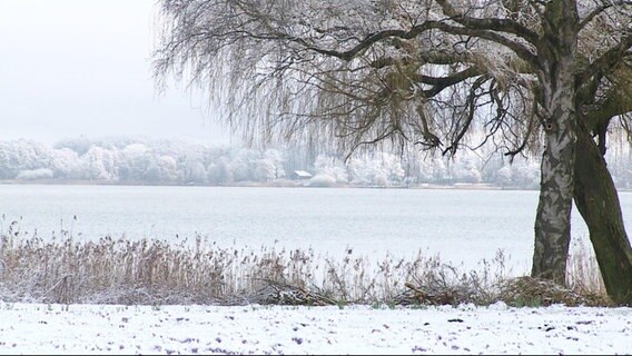 Ein See als Teil einer Schneelandschaft mit Baum im Vordergrund © Screenshot 