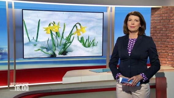 Sandrine Harder moderiert Niedersachsen 18.00. © Screenshot 