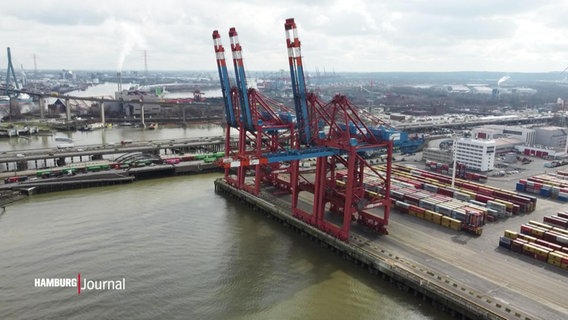 Kräne am Hamburger Hafen werden mit chinesischer Software betrieben. © Screenshot 