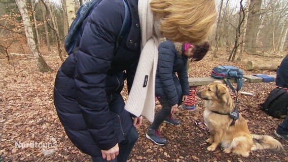 Entspannungsübungen bei Fastenkur mit Hund im Wald. © Screenshot 