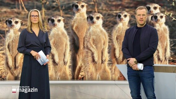 Gabi Lüeße und Henrik Hanses im Studio des Schlesweig-Holstein Magazins. © Screenshot 