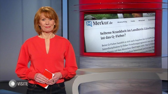 Vera Cordes moderiert Visite am 14.03.2023. © Screenshot 